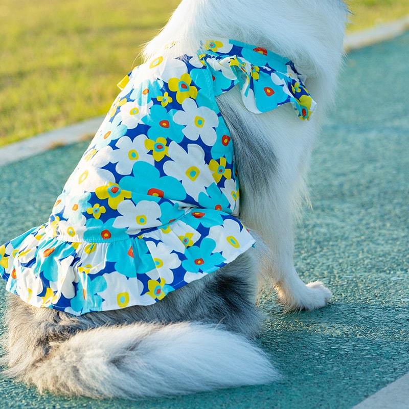 Poppy Breeze Pumpkin Skirt – For Medium & Large Dogs