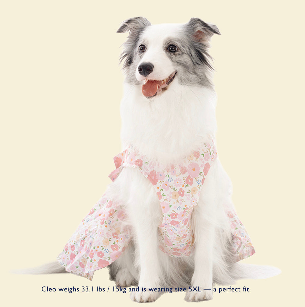 Butterfly Kiss Tulle Dress — Lightweight Sakura Princess Dress for Big Dogs