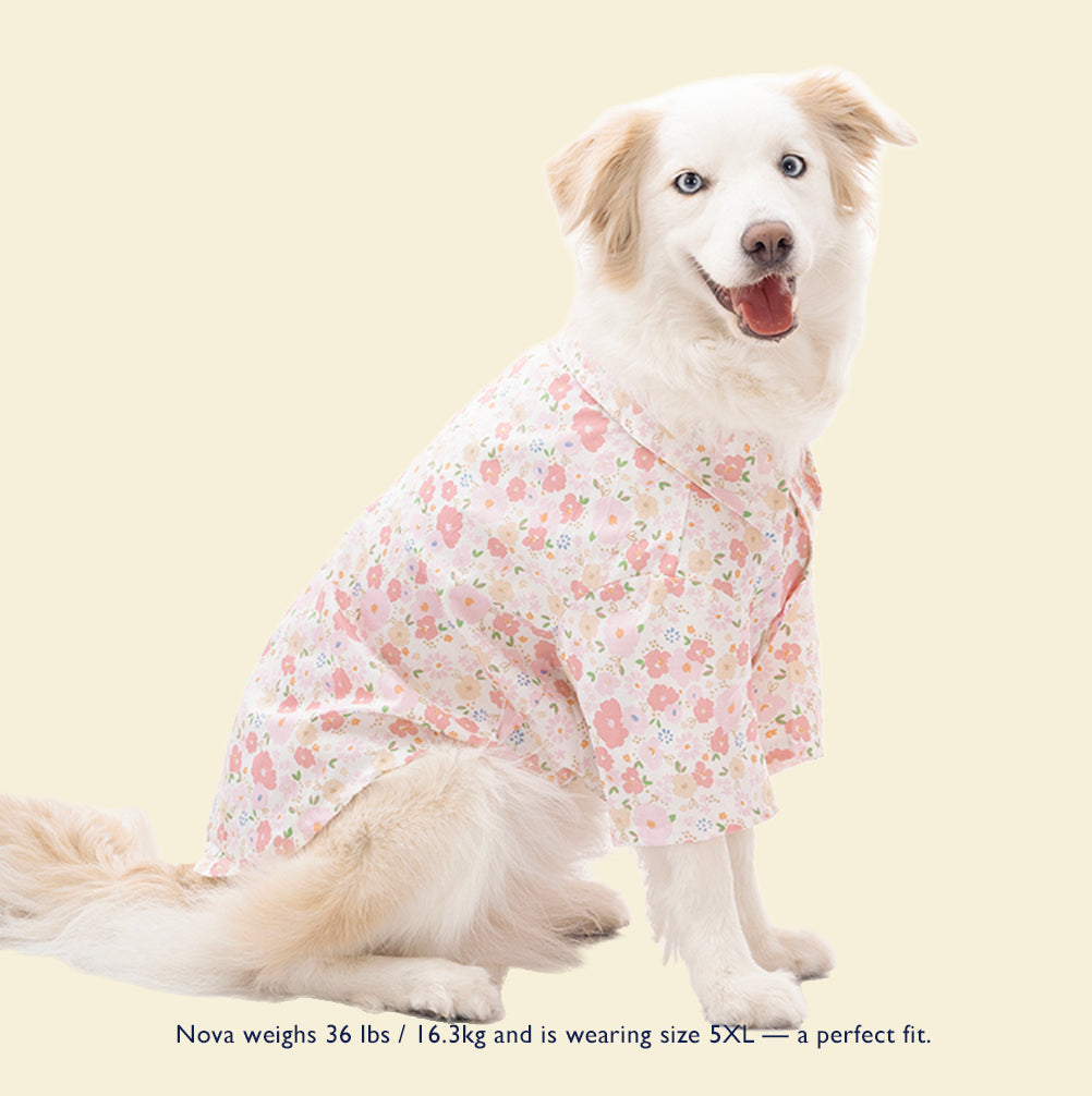 Butterfly Kiss Tulle Dress — Lightweight Sakura Princess Dress for Big Dogs