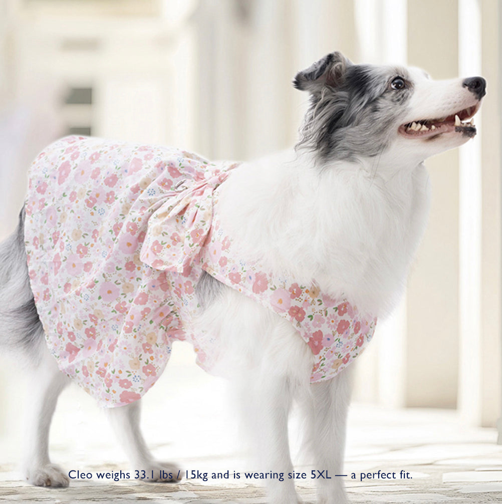 Butterfly Kiss Tulle Dress — Lightweight Sakura Princess Dress for Big Dogs