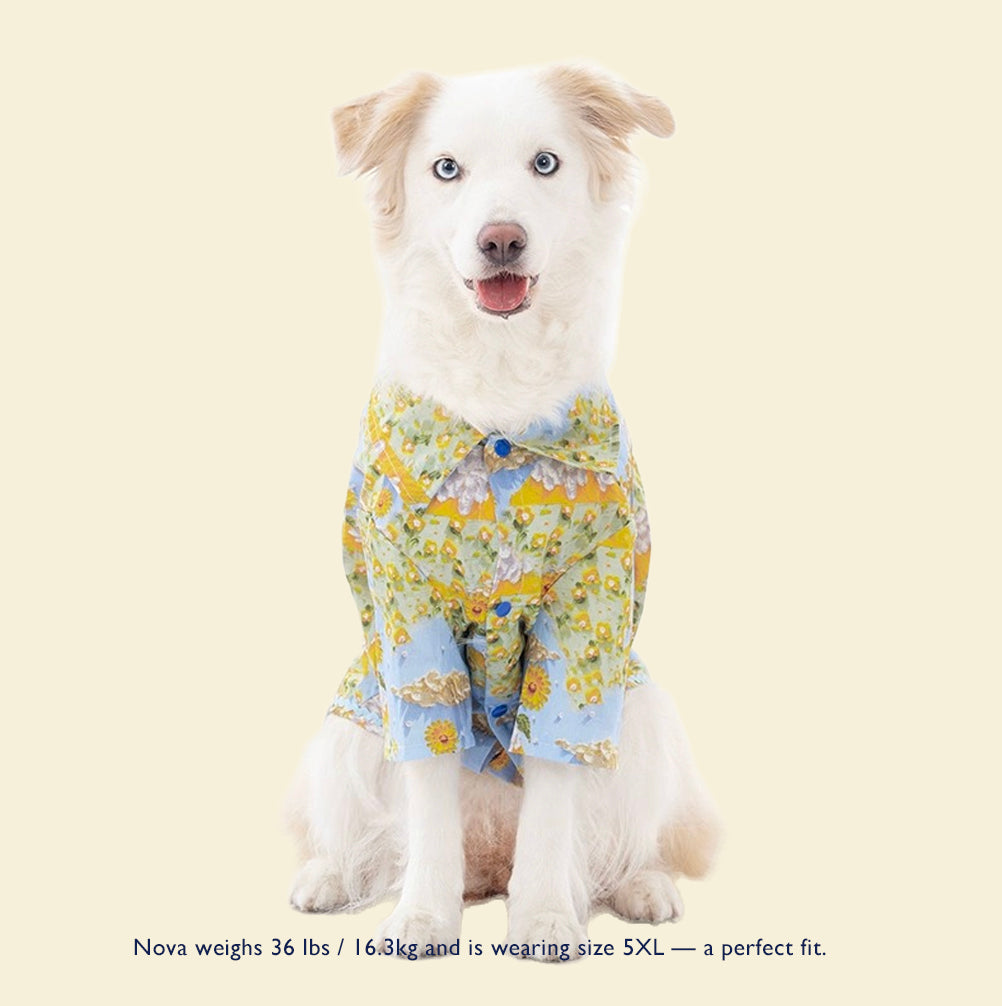 Bloom Dog Blouse – Balloon Skirt Inspired by Monet | Cute Dog Clothes