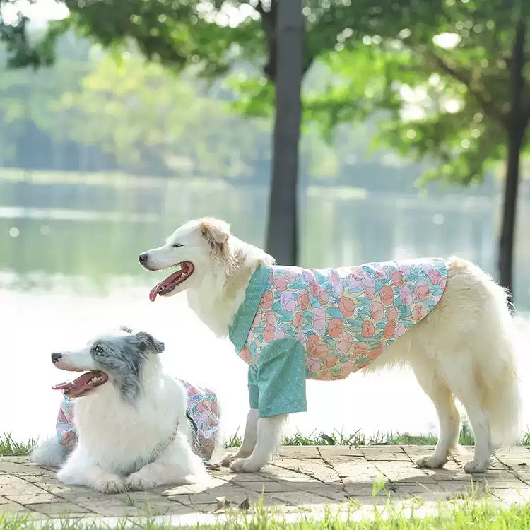 Tulip Morning Pumpkin Skirt – For Medium & Large Dogs