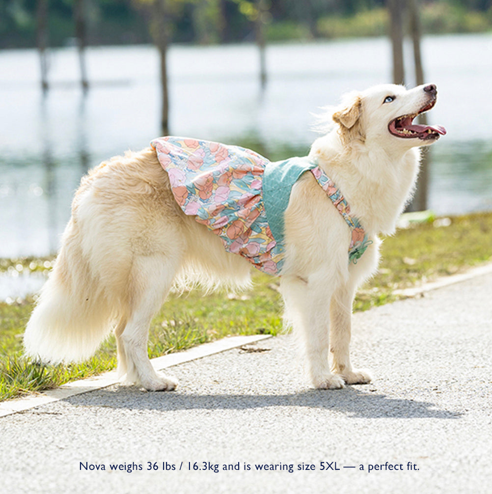 Tulip Morning Pumpkin Skirt – For Medium & Large Dogs