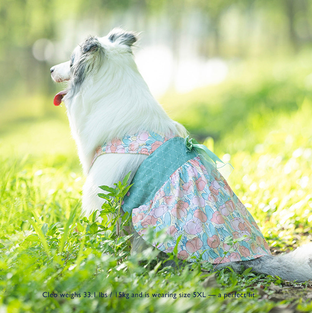 Tulip Morning Pumpkin Skirt – For Medium & Large Dogs