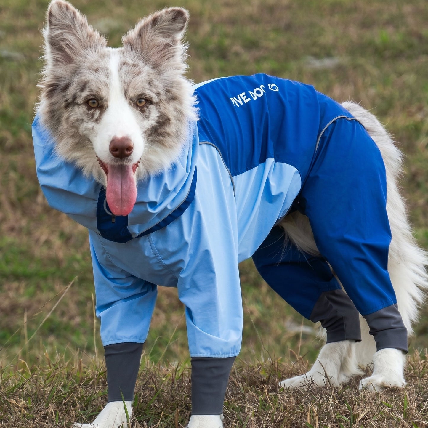 Shell Jacket