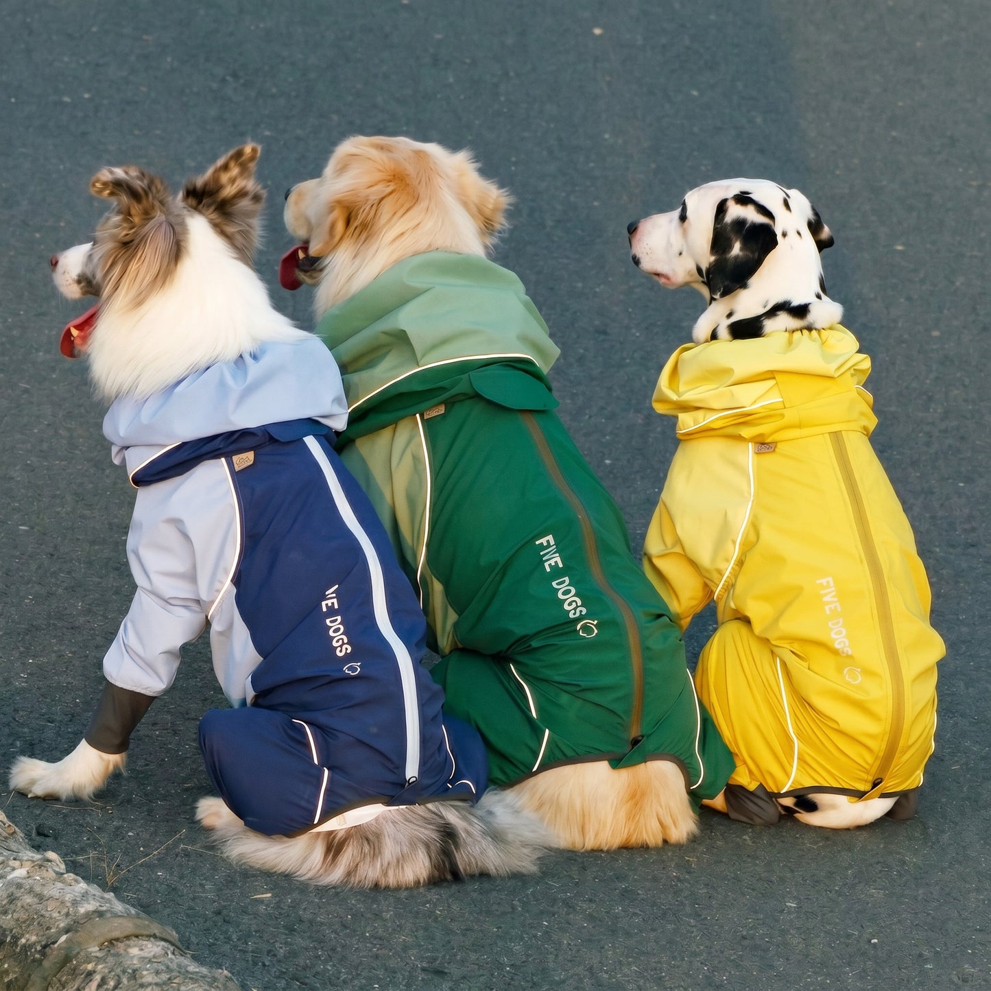 Shell Jacket