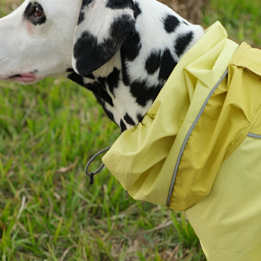 Shell Jacket