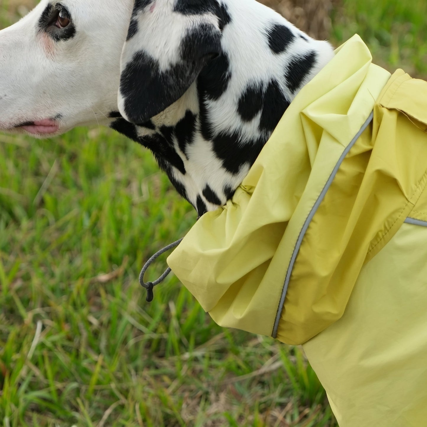 Shell Jacket