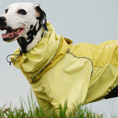 Shell Jacket