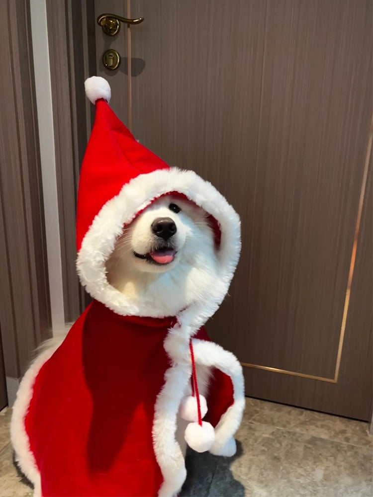 Christmas  Dog Costume – Funny Holiday Outfit