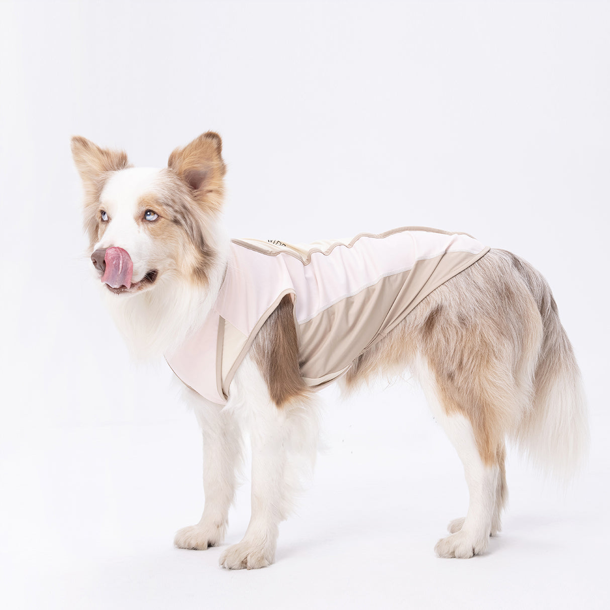 Cooling  Vest Ⅱ