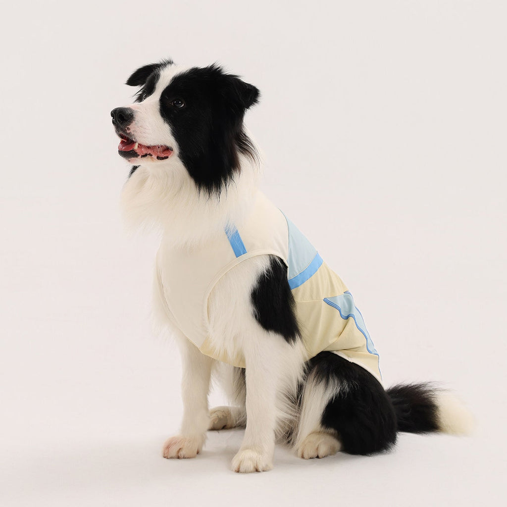 The Breeze Vest