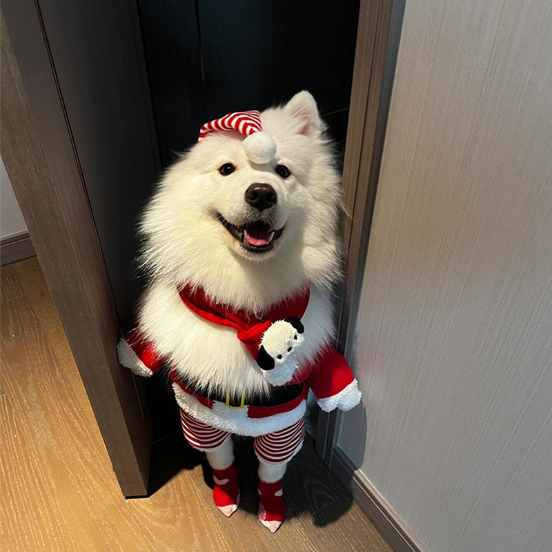Christmas  Dog Costume – Funny Holiday Outfit