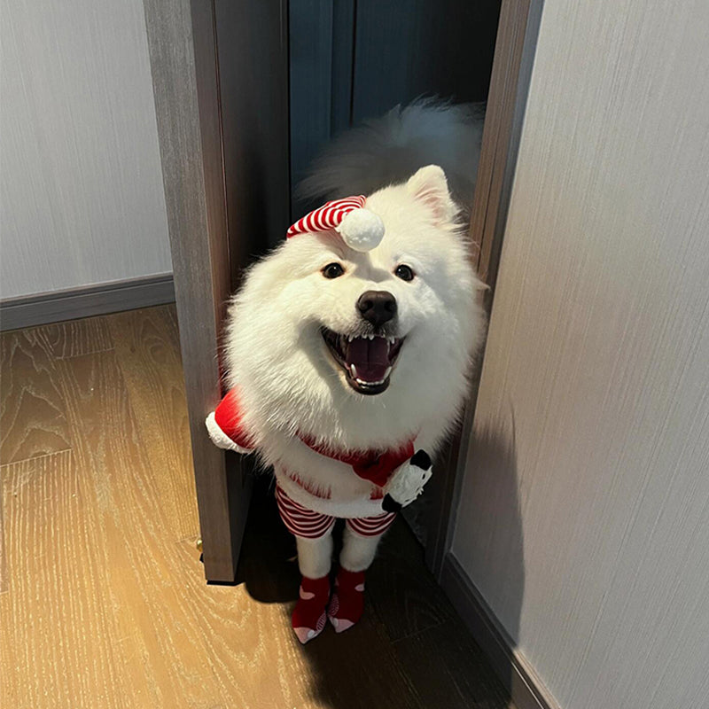 Christmas  Dog Costume – Funny Holiday Outfit