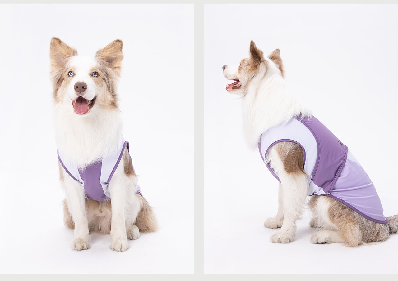 Cooling Vest