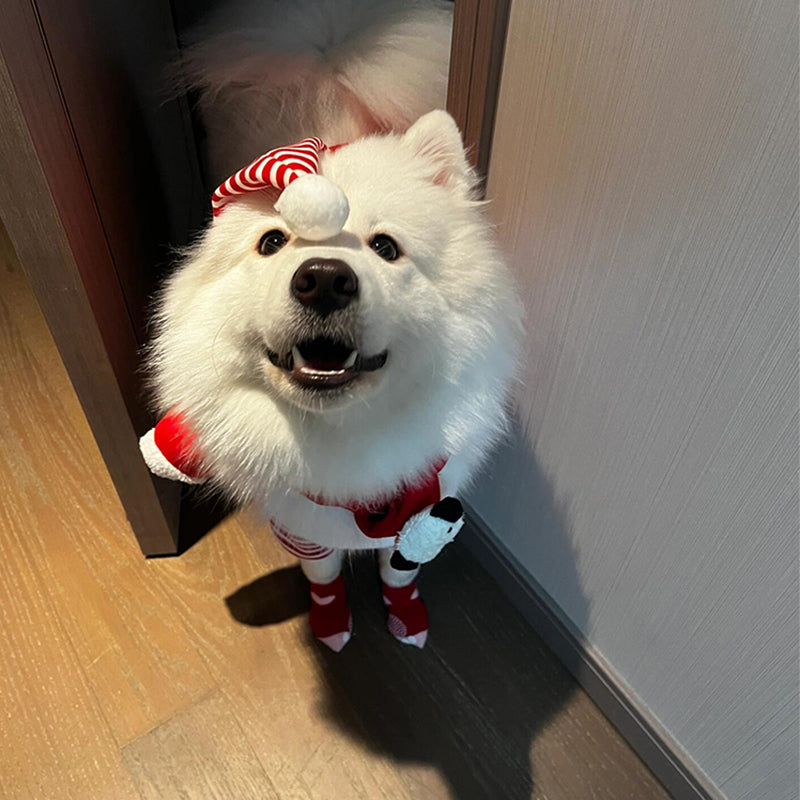 Christmas  Dog Costume – Funny Holiday Outfit