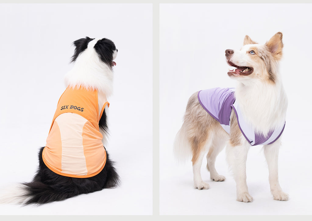 Cooling Vest
