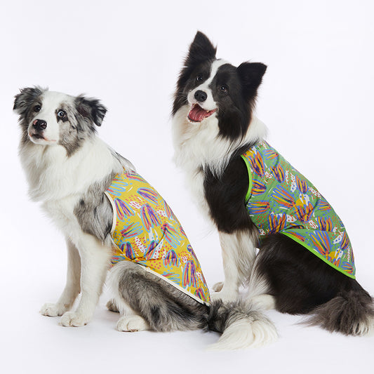 Cooling vest Ⅲ