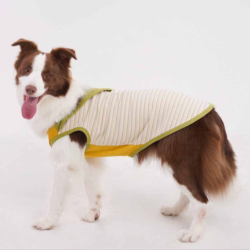 Soft & Breathable Comfort