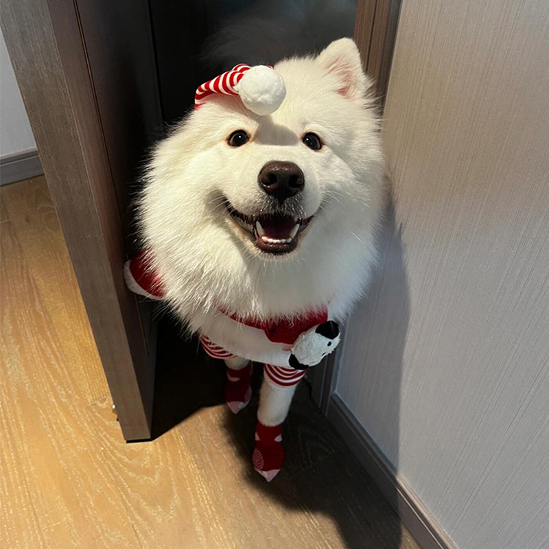 Christmas  Dog Costume – Funny Holiday Outfit