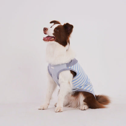 Breeze Stripe Vest