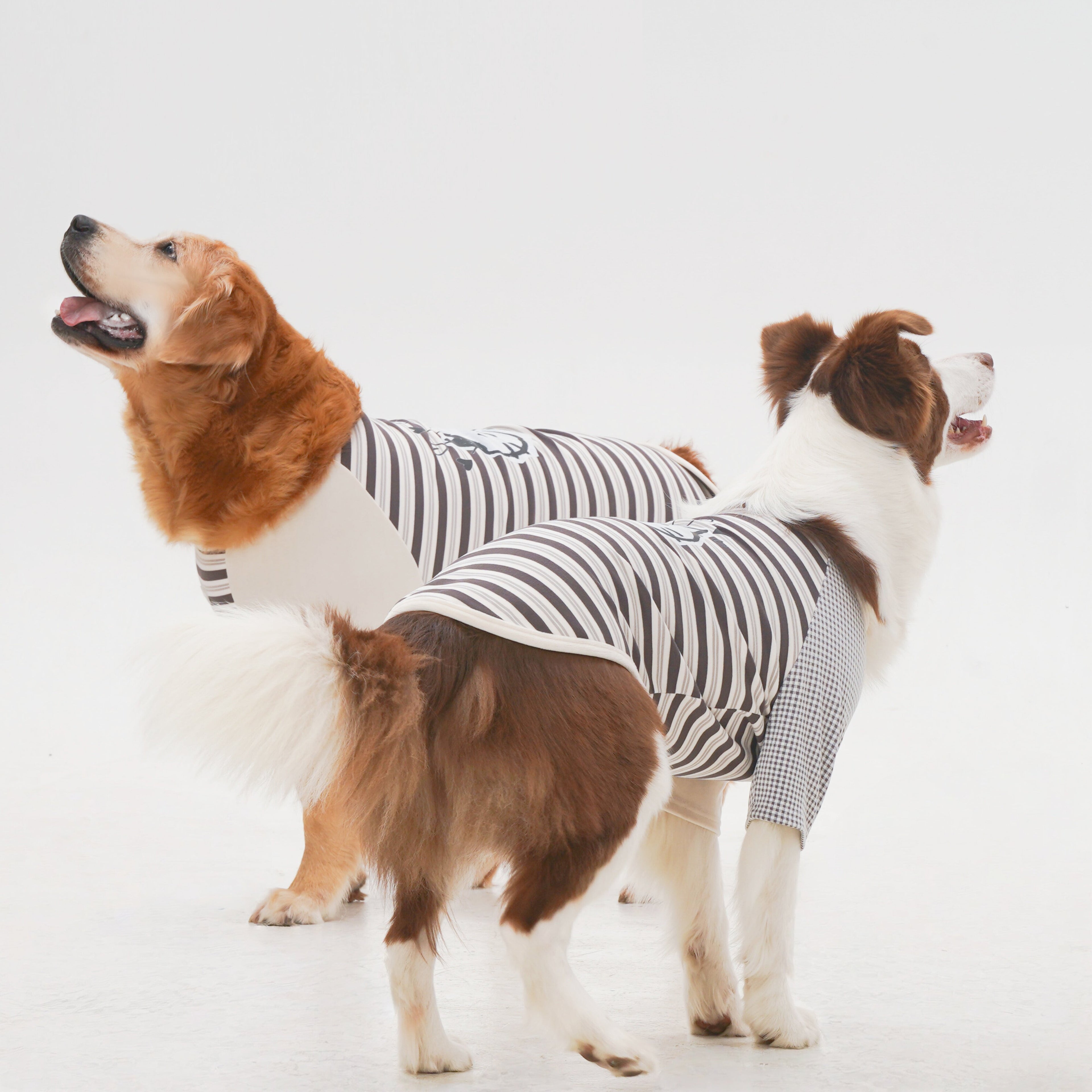 Stripe Tee