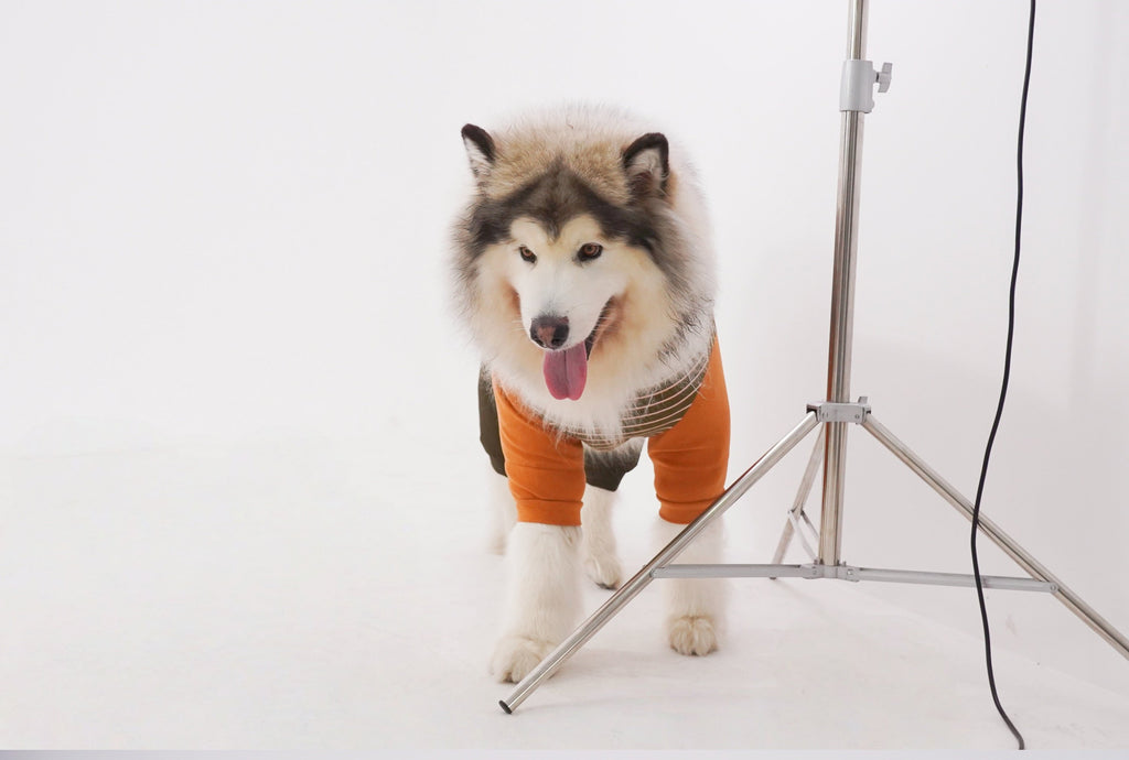 Full-Body Suit