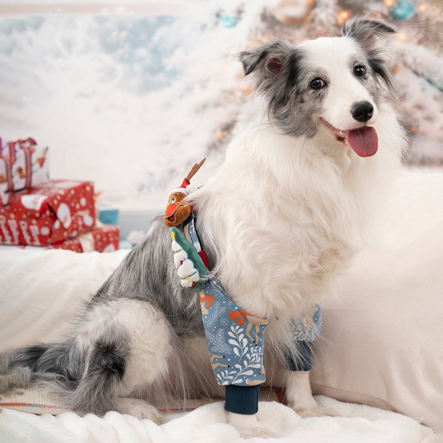 Christmas Cotton Elbow Protector for Dogs – Thickened Joint Sleeve, Anti-Friction & Soft Cozy Warmth – For Medium & Large Breeds