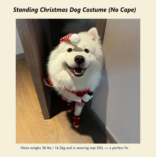 Christmas  Dog Costume – Funny Holiday Outfit