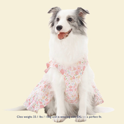 Butterfly Kiss Tulle Dress