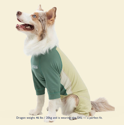 Full-Coverage Bodysuit