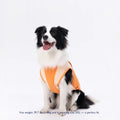 Cooling Vest