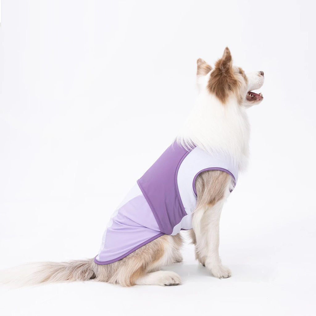 Cooling Vest