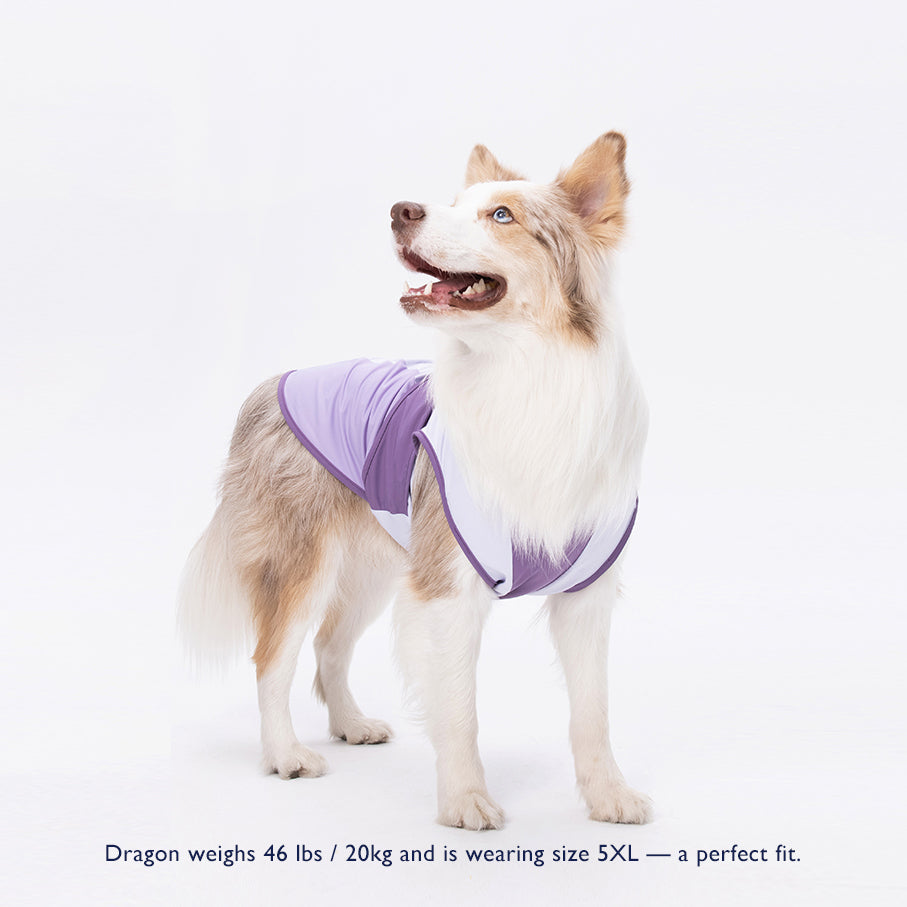 Cooling Vest