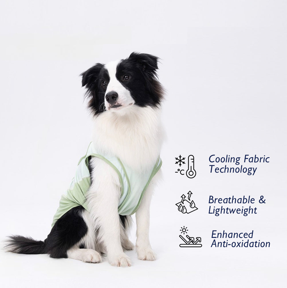 Cooling  Vest Ⅱ