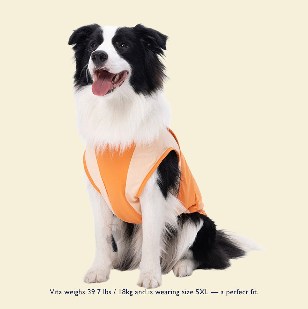 Cooling  Cross-Back Dog Vest for Summer – For Medium & Large Breeds
