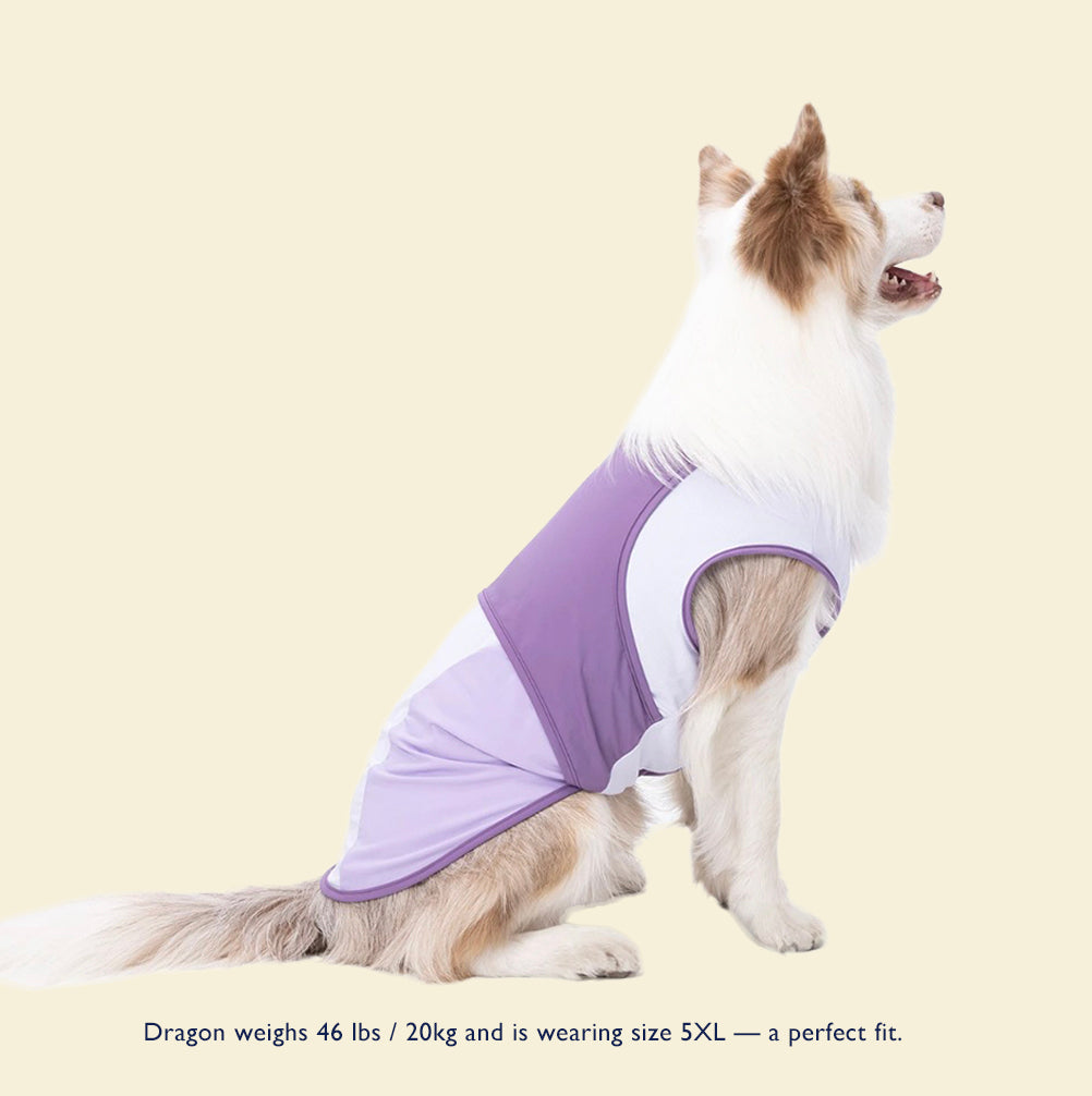 Cooling  Cross-Back Dog Vest for Summer – For Medium & Large Breeds