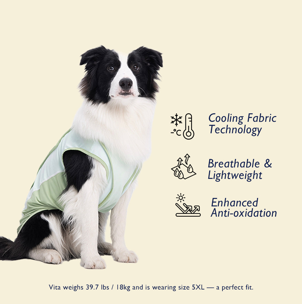 Cooling Dog Vest for Summer – For Medium & Large Breeds