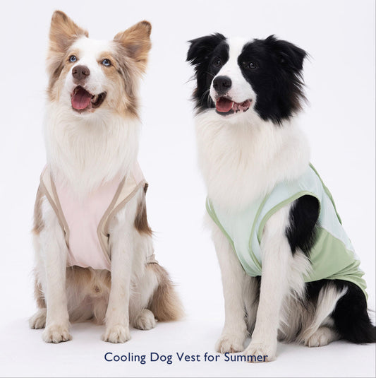 Cooling Dog Vest for Summer – For Medium & Large Breeds