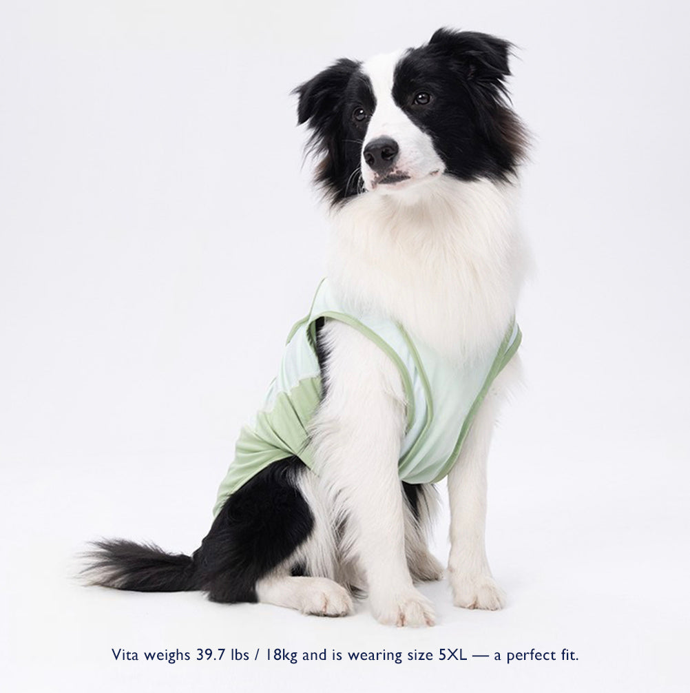 Cooling Dog Vest for Summer – For Medium & Large Breeds