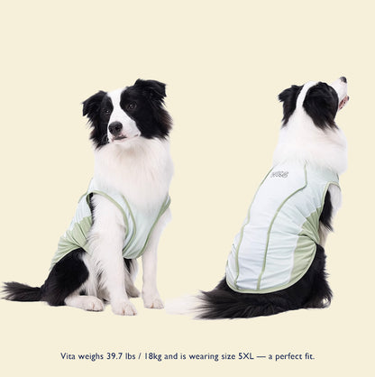 Cooling  Vest Ⅱ