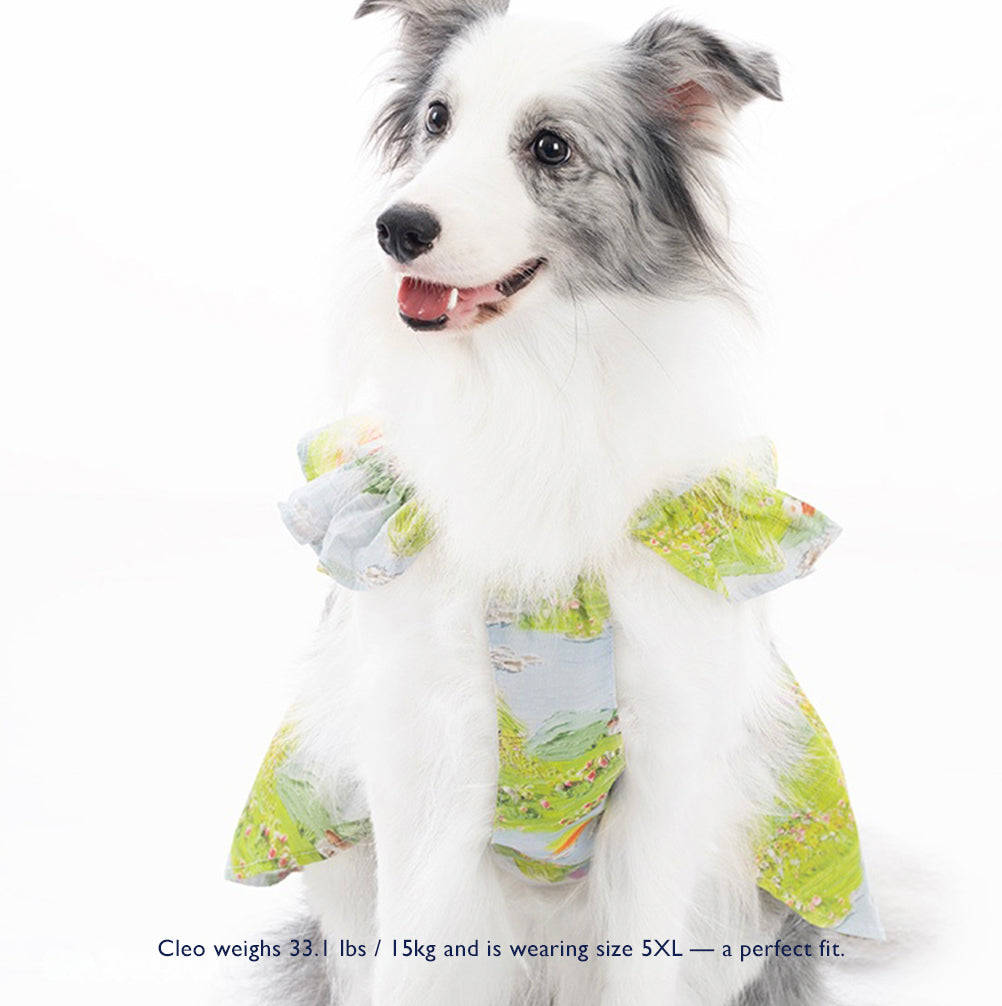 Bloom Dog  Skirt  – Balloon Skirt Inspired by Monet | Cute Dog Clothes