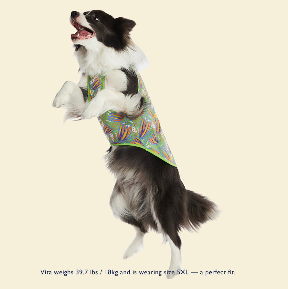 Pop Bloom Summer Strap Dress – For Medium & Large Dogs