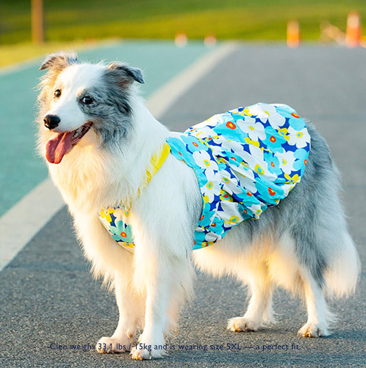 Poppy Breeze Pumpkin Skirt – For Medium & Large Dogs