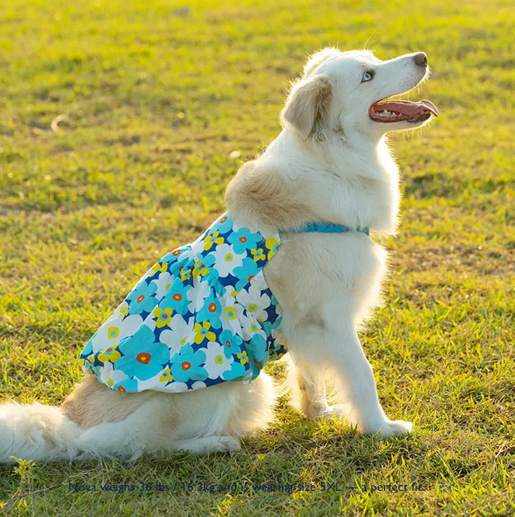 Poppy Breeze Pumpkin Skirt – For Medium & Large Dogs