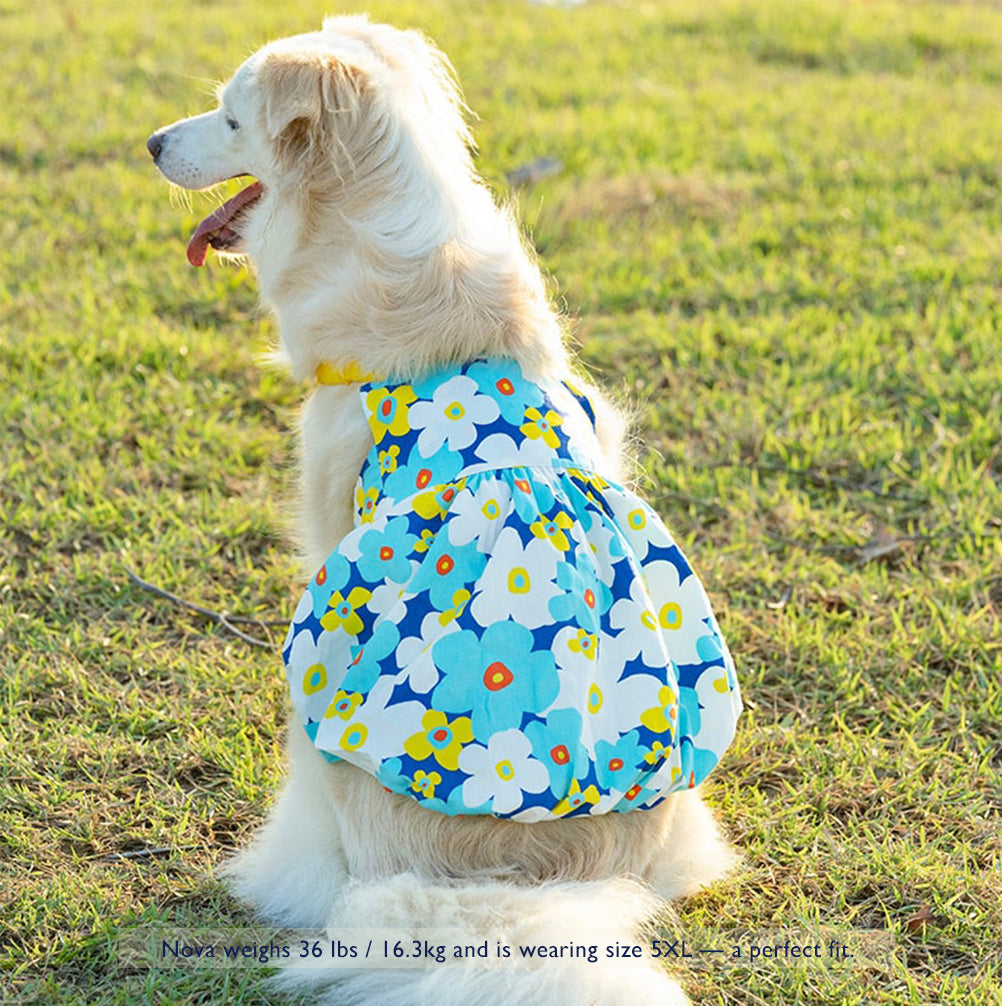 Poppy Breeze Pumpkin Skirt – For Medium & Large Dogs