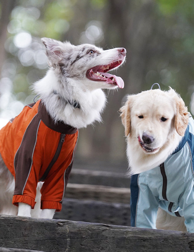 Shell Jacket 2