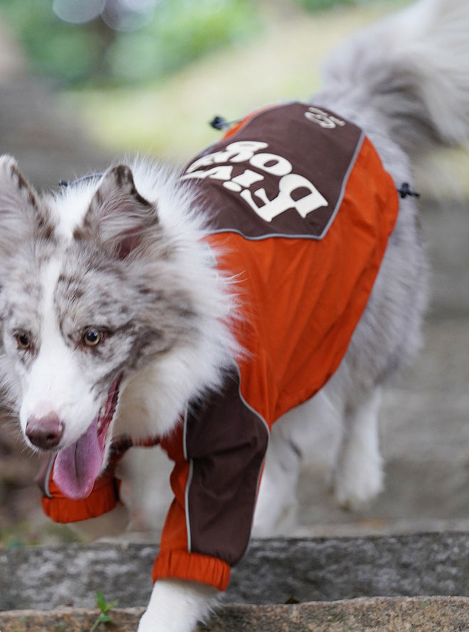 Shell Jacket 2